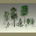 trees-saplings-low-poly