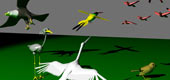 birds 3d models